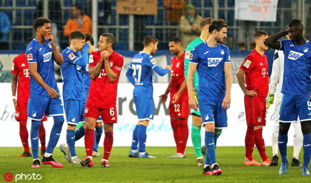  加拿大布鲁克林学院校徽 开云·体育app中国