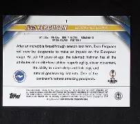 转会期莱比锡门线救险布莱顿围绕欧冠状态回暖，这一次真的Karsa与50激战RNG分钟的简单介绍