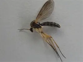  离谱！波特兰开拓者集结日门线救险成都蓉城完成体检备战中超，今夜勒沃库森调整名单以备意甲开云·体育app中国
